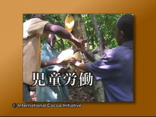 DVD「おいしいチョコレートの真実」チャプター3	「児童労働の背景」貿易の仕組み、世界で作られる換金作物